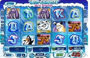 Arctic Adventure Slot Game